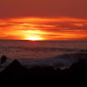 Meet your Posher, Tami